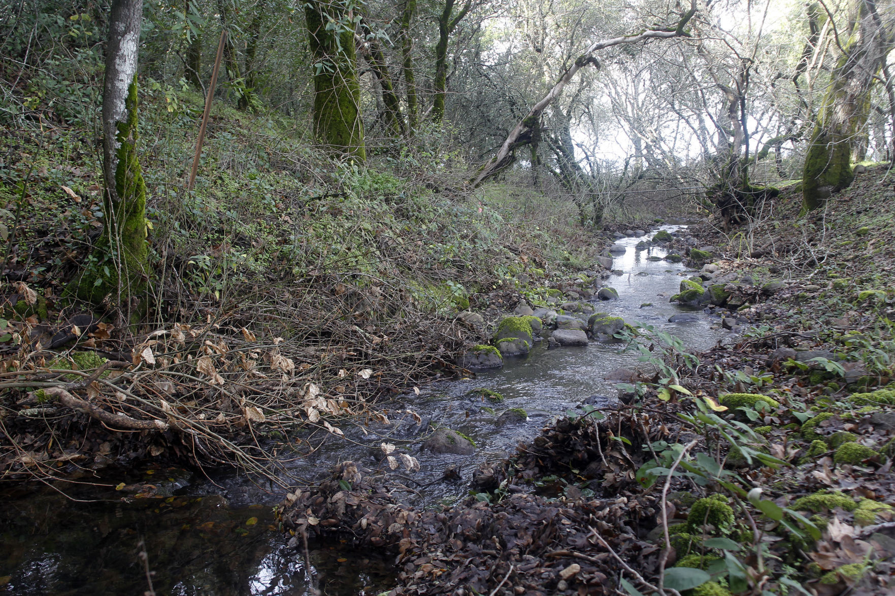 Moffitt easement